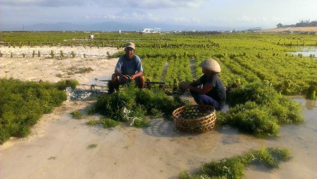 Lembongan Made Inn Nusa Lembongan Buitenkant foto